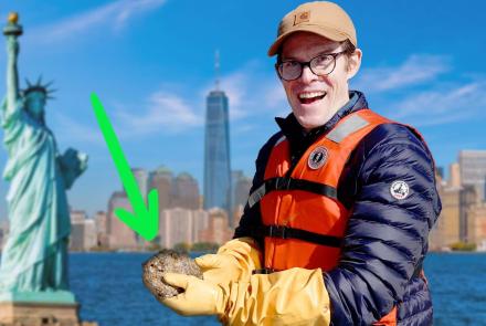 Can a Billion Oysters Save New York City?: asset-mezzanine-16x9