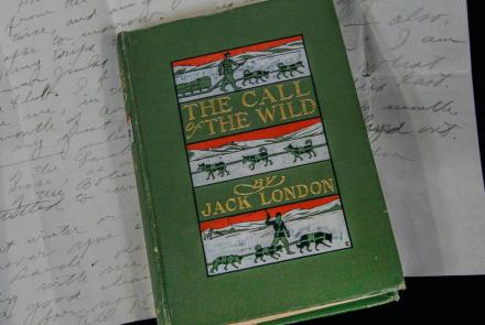 Appraisal: 1903 Jack London "Call of the Wild" Book: asset-original