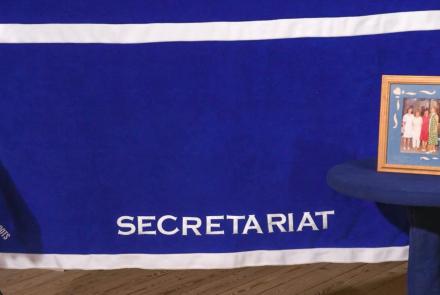 Appraisal: Secretariat's Cool Down Blanket, ca. 1973: asset-original