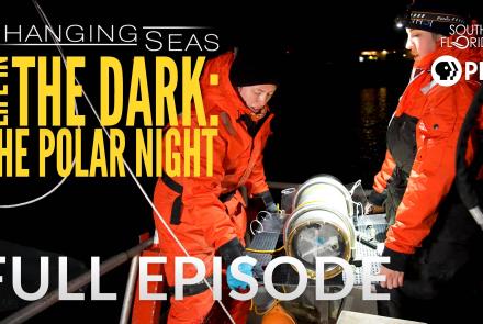 Life in the Dark: The Polar Night: asset-original