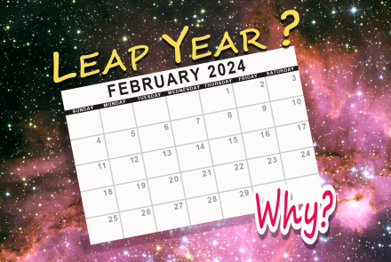Lepus for Leap Year 2024 | February 26 - 31: asset-mezzanine-16x9