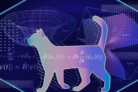 Does Quantum Immortality Save Schrödinger's Cat?: asset-mezzanine-16x9