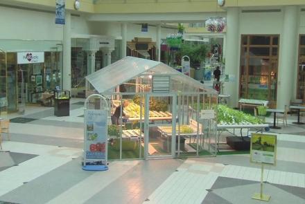 Grow Food in the Galleria Mall: asset-mezzanine-16x9