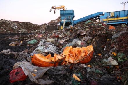 Why food waste is a global problem and what can be done: asset-mezzanine-16x9