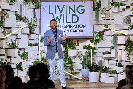 Living Wild: Plant-spiration with Hilton Carter: asset-mezzanine-16x9