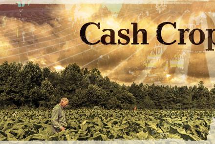 Cash Crop | Official Trailer: asset-mezzanine-16x9