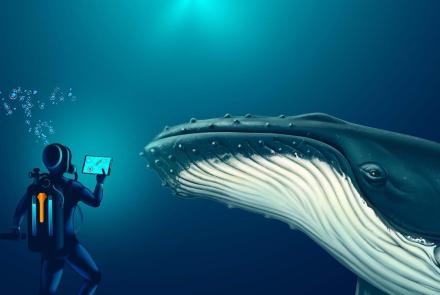 Can AI Help Us Talk to Whales?: asset-mezzanine-16x9