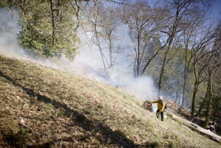 Fire Tender | The Native Practice of Controlled Burns: asset-mezzanine-16x9