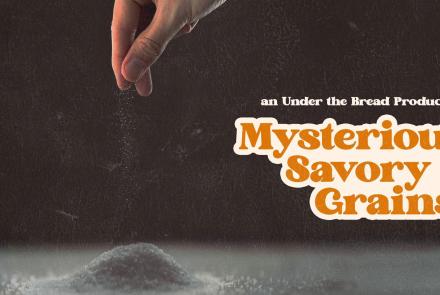 MSG: Mysterious Savory Grains: asset-mezzanine-16x9