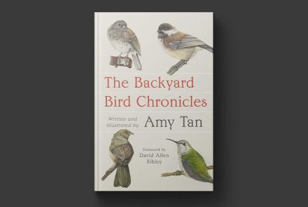 Amy Tan turns her literary gaze on the world of birds: asset-mezzanine-16x9