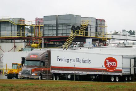 Tyson Foods is polluting U.S. waterways, report says: asset-mezzanine-16x9