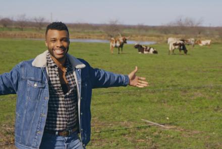 Prideland: asset-mezzanine-16x9