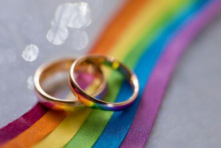 Justly Wed: Stories from the Marriage Equality Movement: background