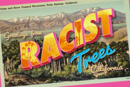 Racist Trees: asset-mezzanine-16x9