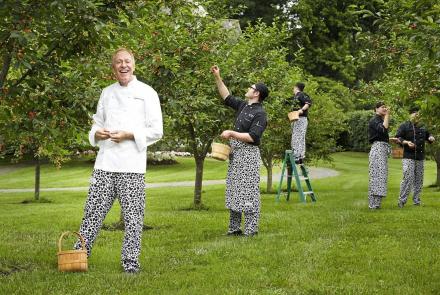 The Inn at Little Washington: A Delicious Documentary: TVSS: Iconic