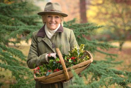Mary Berry's Country House at Christmas: TVSS: Iconic
