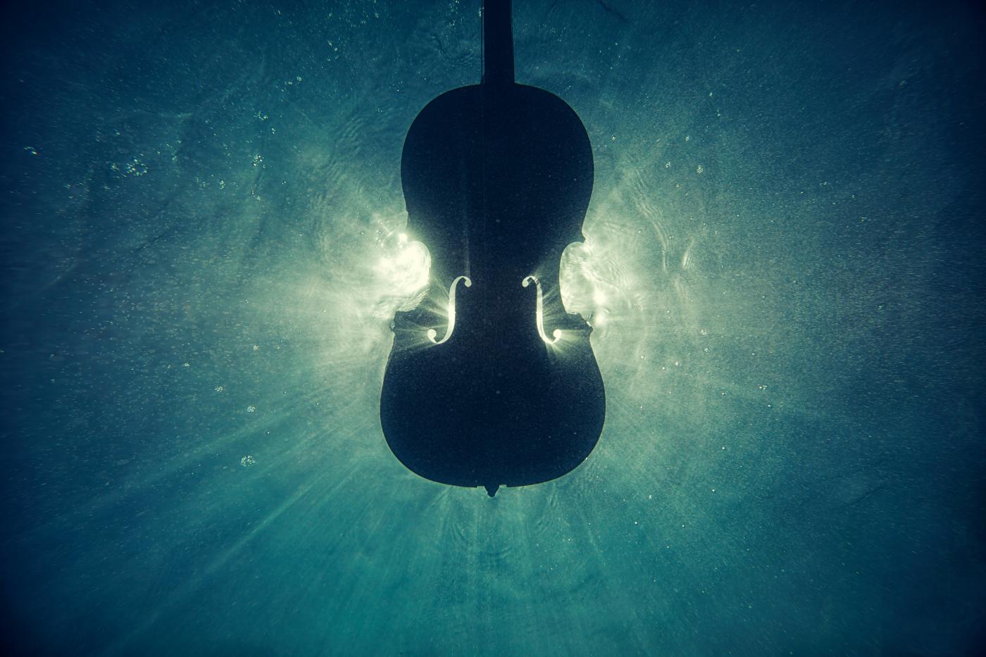 Silhouette of stringed instrument against blue background which looks like water.