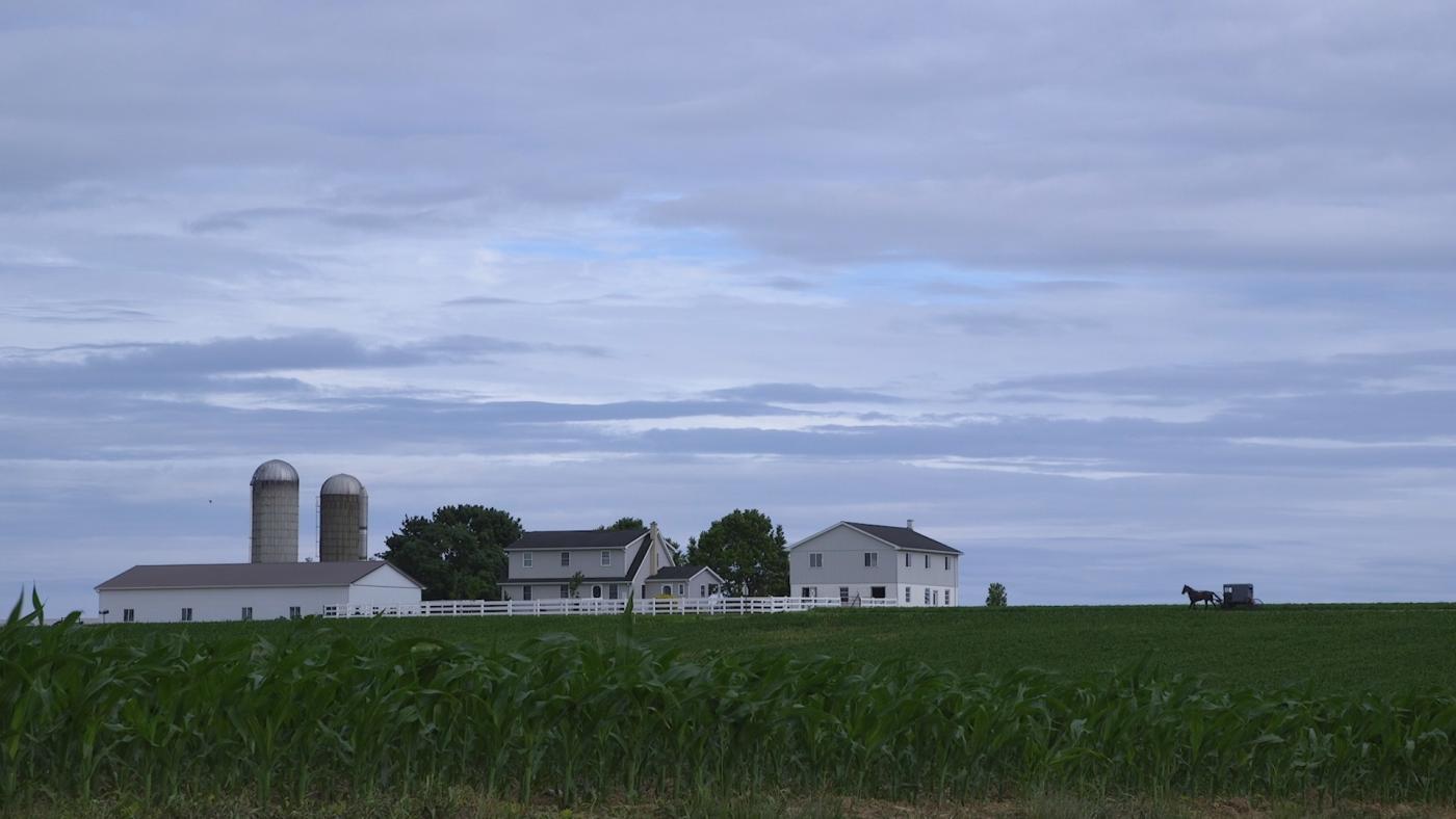 Amish farm set in the middle of a cornfield with white buildings and 2 silos