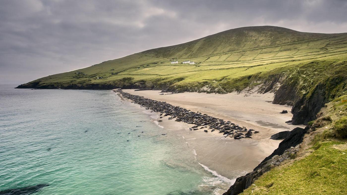 green grass covered hills rolling into ocean