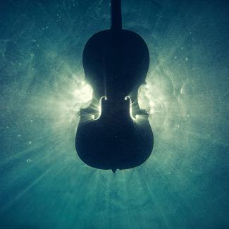 Silhouette of stringed instrument against blue background which looks like water.